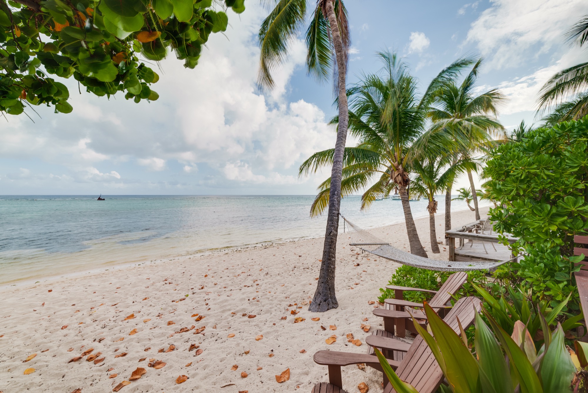 White-sand beach with palms in front of the residence